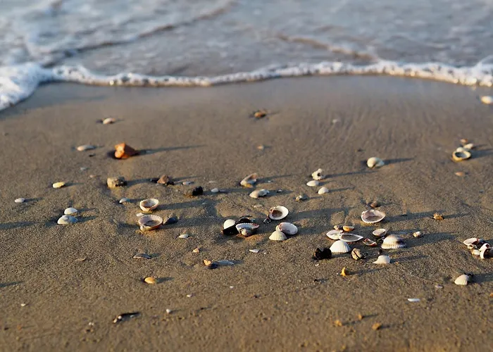 Sea-front Peaceful With Terrace In *