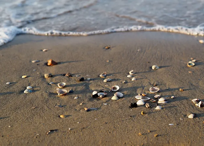 Sea-front Peaceful With Terrace In